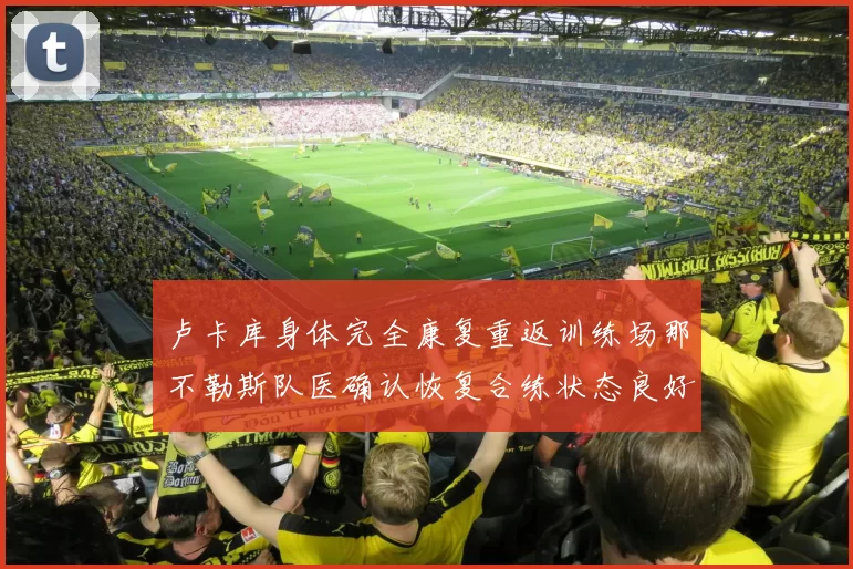 卢卡库身体完全康复重返训练场那不勒斯队医确认恢复合练状态良好